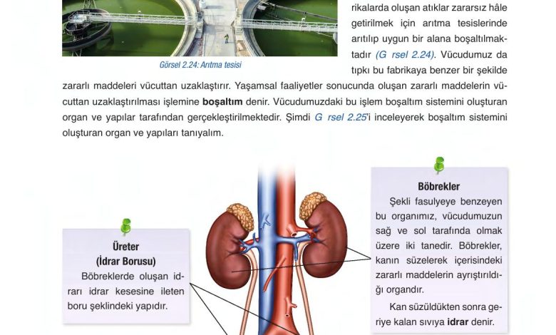 6. Sınıf Gün Yayınları Fen Bilimleri Ders Kitabı Sayfa 82 Cevapları