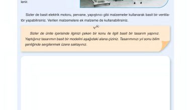 6. Sınıf Gün Yayınları Fen Bilimleri Ders Kitabı Sayfa 87 Cevapları