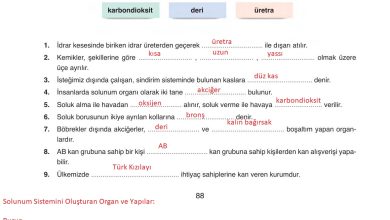 6. Sınıf Gün Yayınları Fen Bilimleri Ders Kitabı Sayfa 88 Cevapları