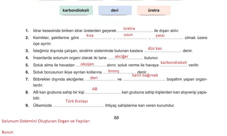 6. Sınıf Gün Yayınları Fen Bilimleri Ders Kitabı Sayfa 88 Cevapları