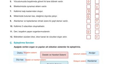 6. Sınıf Gün Yayınları Fen Bilimleri Ders Kitabı Sayfa 89 Cevapları