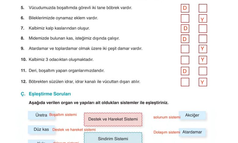 6. Sınıf Gün Yayınları Fen Bilimleri Ders Kitabı Sayfa 89 Cevapları