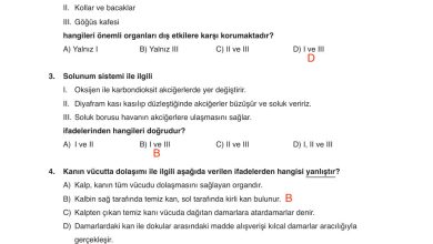 6. Sınıf Gün Yayınları Fen Bilimleri Ders Kitabı Sayfa 90 Cevapları