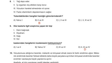 6. Sınıf Gün Yayınları Fen Bilimleri Ders Kitabı Sayfa 91 Cevapları