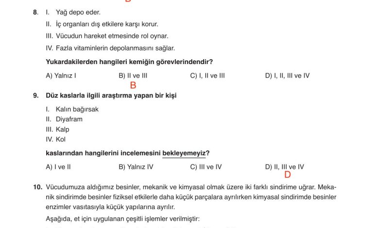 6. Sınıf Gün Yayınları Fen Bilimleri Ders Kitabı Sayfa 91 Cevapları