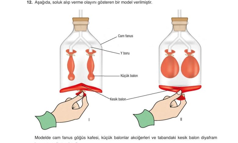 6. Sınıf Gün Yayınları Fen Bilimleri Ders Kitabı Sayfa 92 Cevapları