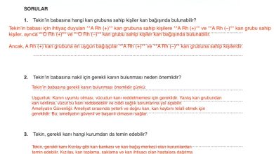 6. Sınıf Gün Yayınları Fen Bilimleri Ders Kitabı Sayfa 93 Cevapları