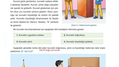 6. Sınıf Gün Yayınları Fen Bilimleri Ders Kitabı Sayfa 97 Cevapları