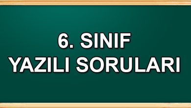 6. Sınıf Yazılı Soruları ve Cevapları