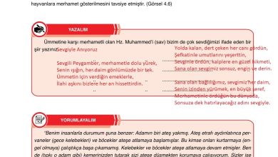 7. Sınıf Erkad Yayınları Din Kültürü Ders Kitabı Sayfa 102 Cevapları