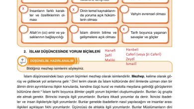 7. Sınıf Erkad Yayınları Din Kültürü Ders Kitabı Sayfa 117 Cevapları