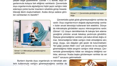 7. Sınıf Erkad Yayınları Din Kültürü Ders Kitabı Sayfa 12 Cevapları