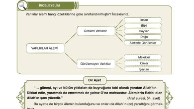 7. Sınıf Erkad Yayınları Din Kültürü Ders Kitabı Sayfa 13 Cevapları