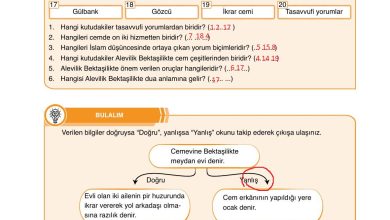 7. Sınıf Erkad Yayınları Din Kültürü Ders Kitabı Sayfa 142 Cevapları