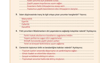 7. Sınıf Erkad Yayınları Din Kültürü Ders Kitabı Sayfa 143 Cevapları