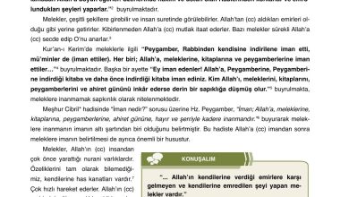 7. Sınıf Erkad Yayınları Din Kültürü Ders Kitabı Sayfa 15 Cevapları