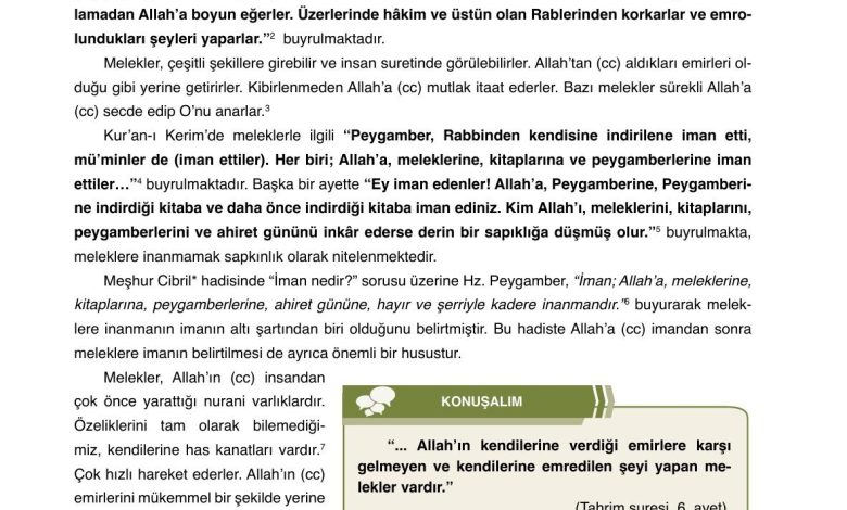 7. Sınıf Erkad Yayınları Din Kültürü Ders Kitabı Sayfa 15 Cevapları