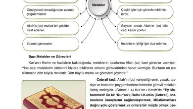 7. Sınıf Erkad Yayınları Din Kültürü Ders Kitabı Sayfa 16 Cevapları