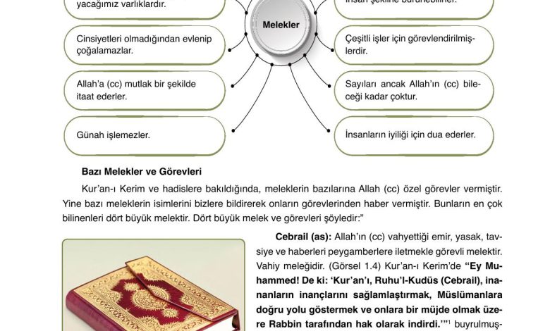 7. Sınıf Erkad Yayınları Din Kültürü Ders Kitabı Sayfa 16 Cevapları