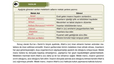 7. Sınıf Erkad Yayınları Din Kültürü Ders Kitabı Sayfa 18 Cevapları