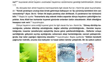 7. Sınıf Erkad Yayınları Din Kültürü Ders Kitabı Sayfa 20 Cevapları