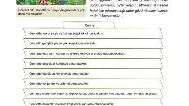 7. Sınıf Erkad Yayınları Din Kültürü Ders Kitabı Sayfa 27 Cevapları