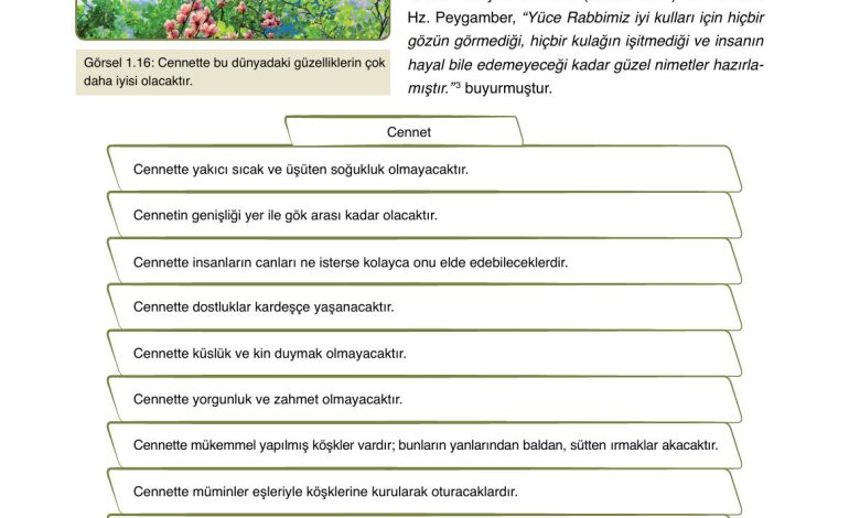 7. Sınıf Erkad Yayınları Din Kültürü Ders Kitabı Sayfa 27 Cevapları