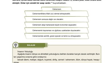 7. Sınıf Erkad Yayınları Din Kültürü Ders Kitabı Sayfa 28 Cevapları