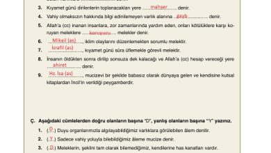 7. Sınıf Erkad Yayınları Din Kültürü Ders Kitabı Sayfa 37 Cevapları