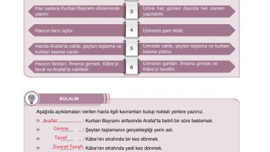 7. Sınıf Erkad Yayınları Din Kültürü Ders Kitabı Sayfa 49 Cevapları