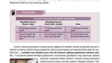 7. Sınıf Erkad Yayınları Din Kültürü Ders Kitabı Sayfa 51 Cevapları