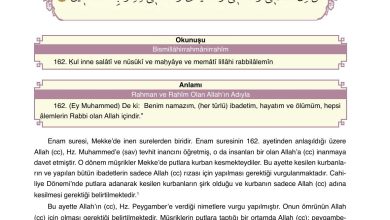 7. Sınıf Erkad Yayınları Din Kültürü Ders Kitabı Sayfa 55 Cevapları