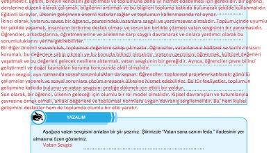 7. Sınıf Erkad Yayınları Din Kültürü Ders Kitabı Sayfa 82 Cevapları