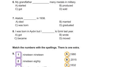 7. Sınıf Meb Yayınları İngilizce Ders Kitabı Sayfa 136 Cevapları