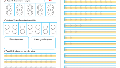 8 Rakamı Öğretimi (Yeni Müfredata Uygun)