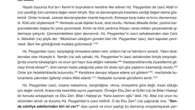 8. Sınıf Gezegen Yayınları Din Kültürü Ders Kitabı Sayfa 100 Cevapları