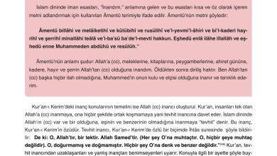 8. Sınıf Gezegen Yayınları Din Kültürü Ders Kitabı Sayfa 117 Cevapları