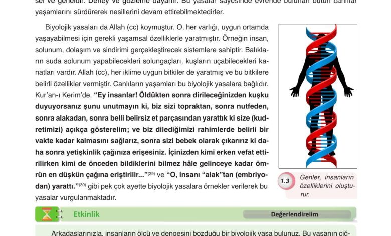 8. Sınıf Gezegen Yayınları Din Kültürü Ders Kitabı Sayfa 17 Cevapları