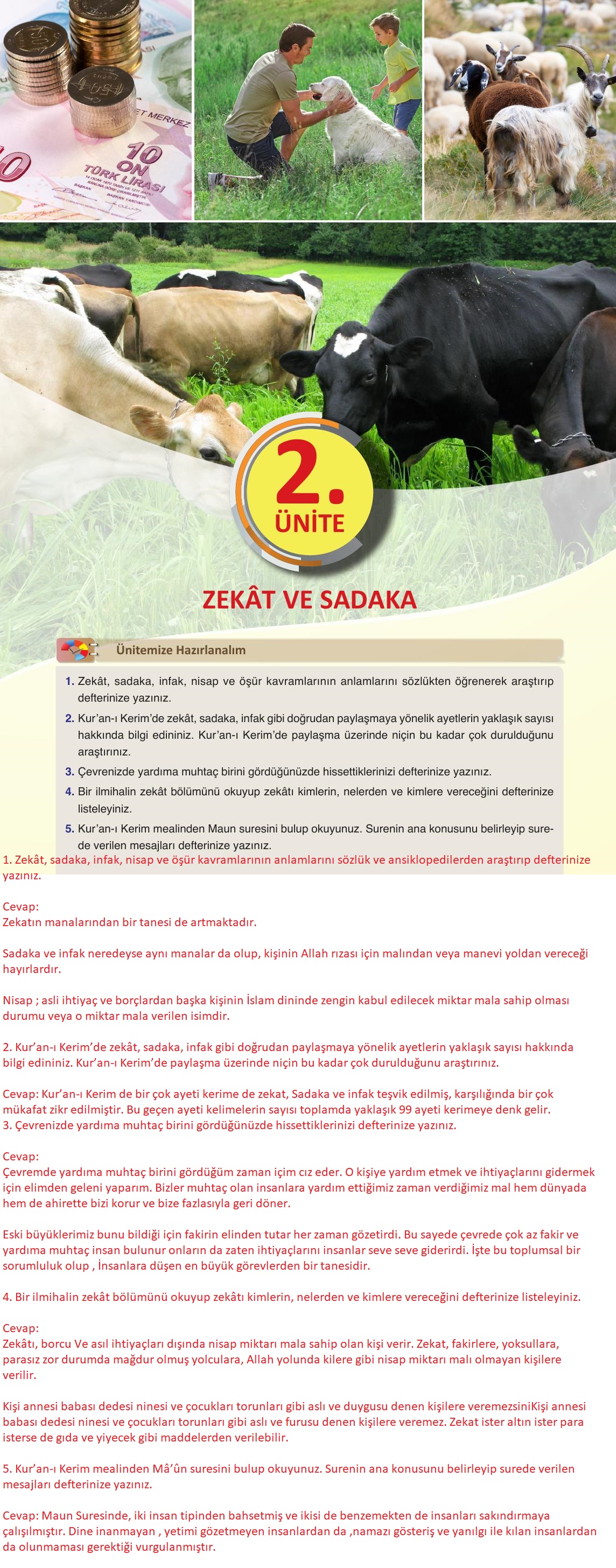 8. Sınıf Gezegen Yayınları Din Kültürü Ders Kitabı Sayfa 37 Cevapları