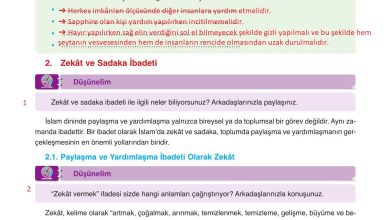 8. Sınıf Gezegen Yayınları Din Kültürü Ders Kitabı Sayfa 41 Cevapları