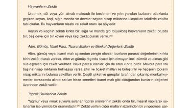 8. Sınıf Gezegen Yayınları Din Kültürü Ders Kitabı Sayfa 43 Cevapları