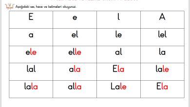 A Sesi Hece ve Kelime Okuma Tablosu