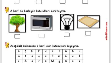 “A sesi” hissetme ve tanıma etkinlikleri