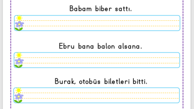 “B Sesi” Cümle Oluşturma Etkinlikleri