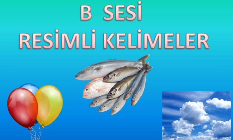 B Sesi Resimli Kelime Sunusu