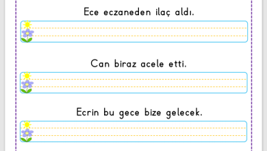 “C Sesi” Cümle Oluşturma Etkinlikleri