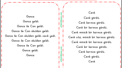 “C Sesi” Hızlı Okuma Metinleri