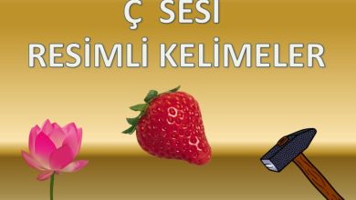 Ç Sesi Resimli Kelimeler Sunusu