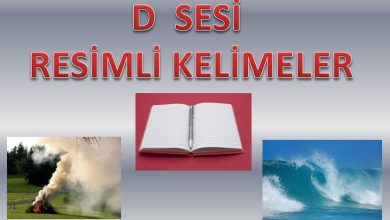 D Sesi Resimli Kelimeler Sunusu