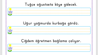 “Ğ Sesi” Cümle Oluşturma Etkinlikleri